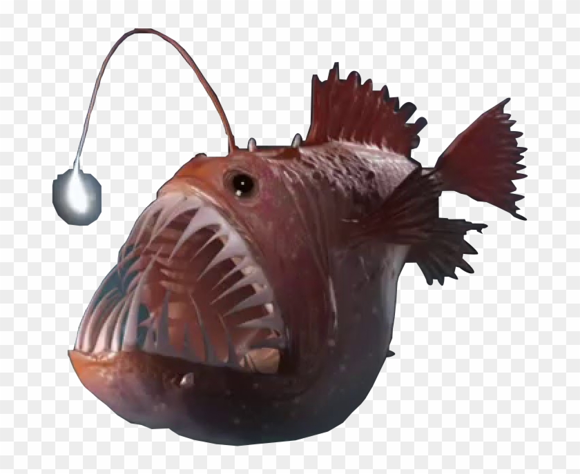 Angler Fish Png - Angler Fish Eating Clipart #603819