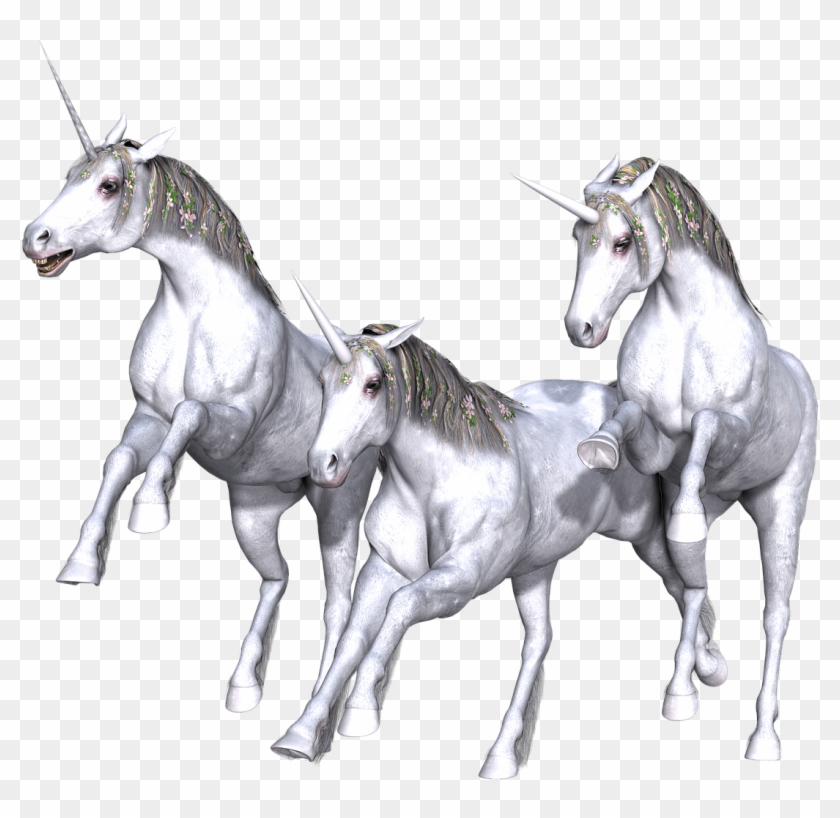 Unicorn Trio Full White - Transparent Mythology Clipart #604717