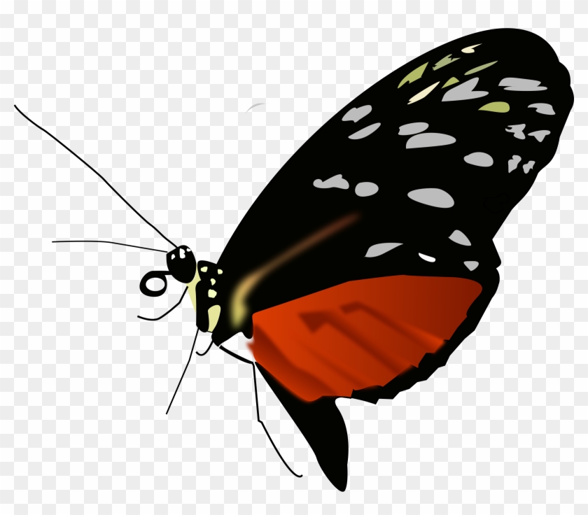 This Free Icons Png Design Of Dark Orange-black Butterfly - Red Black And Orange Butterfly Clipart #606815