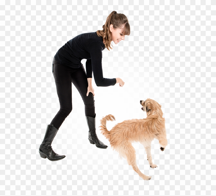 The Vsa Philosophy - Cat Clipart