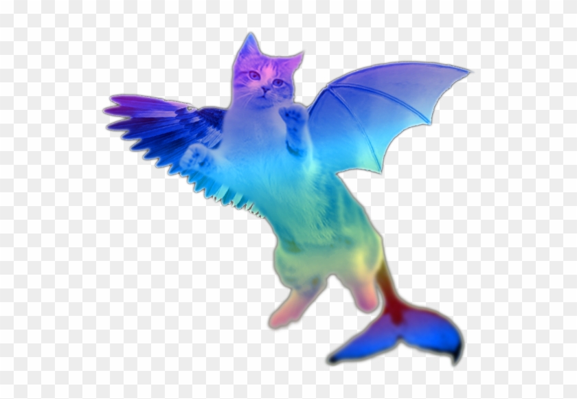 Flying Cat Png - Flying Cat No Background Clipart #606983