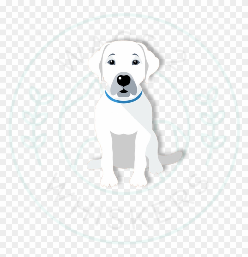 White Dog - Dogo Argentino Clipart