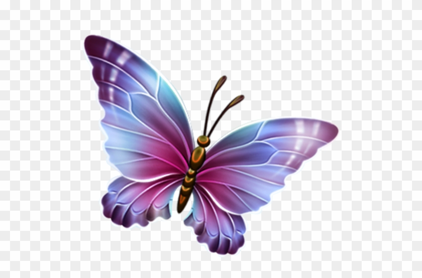 Small - Butterfly Clipart No Background - Png Download