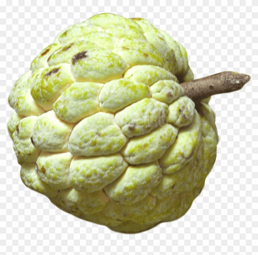 Custard Apple Fruit Png Clipart #607292