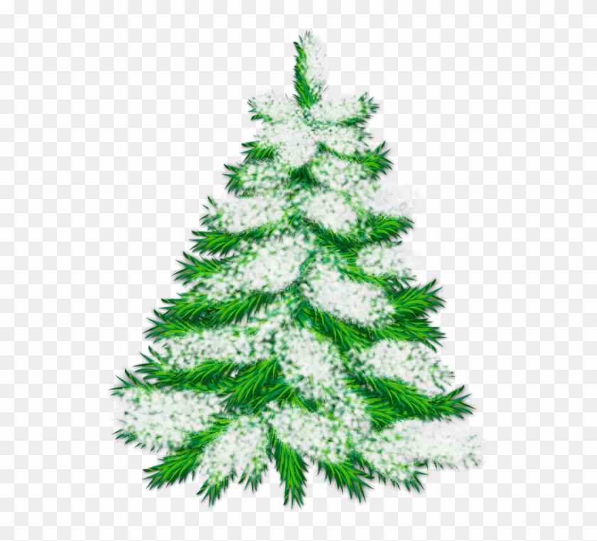 Picture Freeuse Stock Snowy Trees Clipart - Snowy Christmas Tree Clipart - Png Download