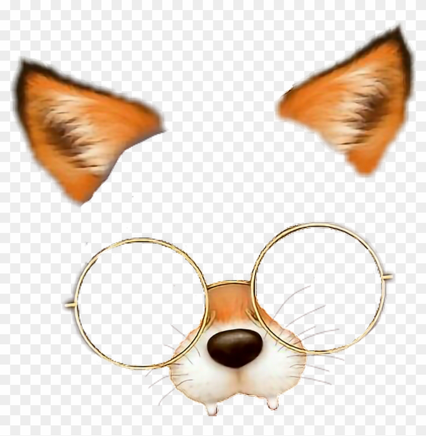 Fox Filtro Filtre Filtrodezorro Snow Png Filtrefox - Filtros De Snow Png Clipart