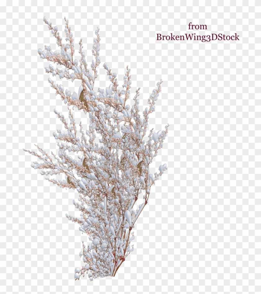 E 2823901505 - Bush Snow Png Clipart #608433
