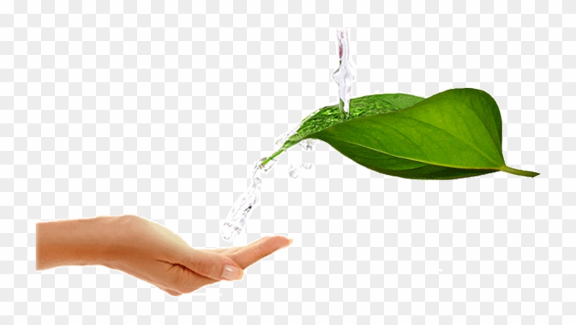 Water - Water In Hand Png Clipart