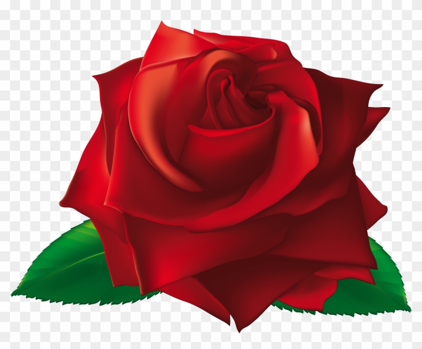 Clipart Roses Single - Single Rose Clipart Png Transparent Png #609584
