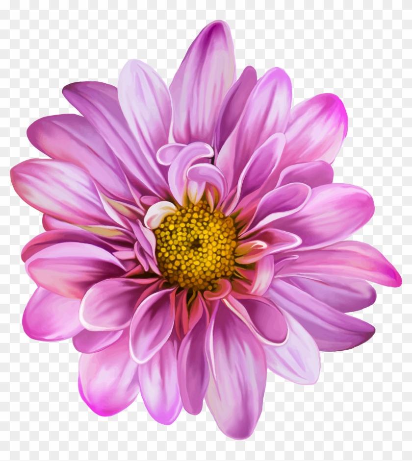 Purple Flower White Background Clipart