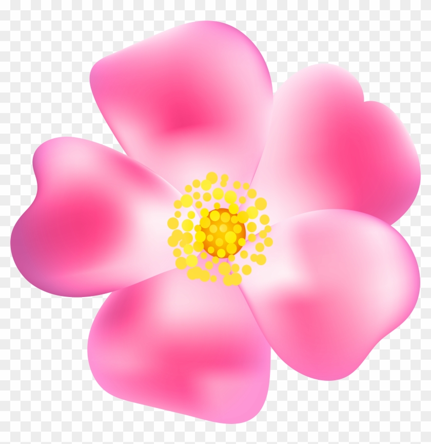 Pink Rose Blossom Png Transparent Clip Art Image - Blossom Transparent Png