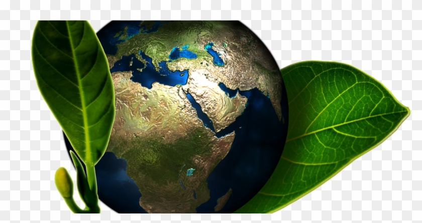 Our Top 10 Sustainable Initiatives From Around The - Awareness About Environment Protection Clipart