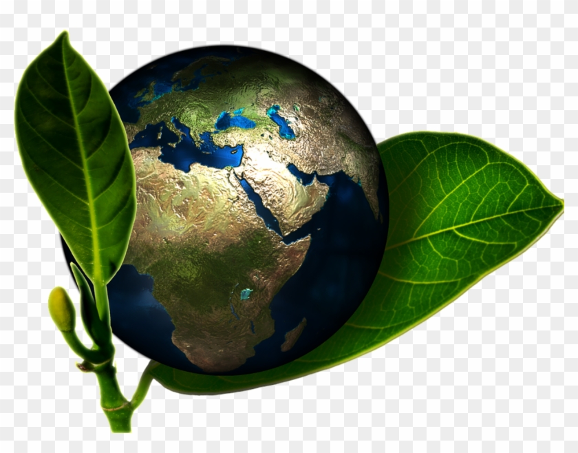 Environmental Science Png Clipart