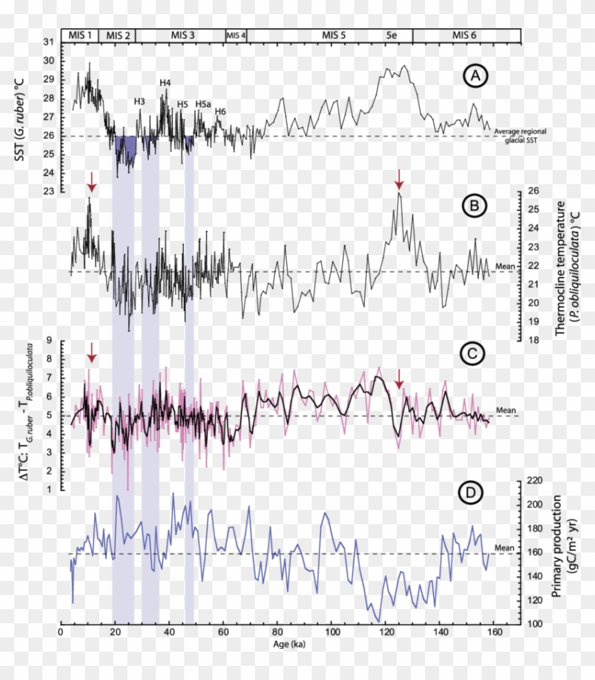 Records Of Surface‐to‐thermocline Temperature Contrast - Handwriting Clipart
