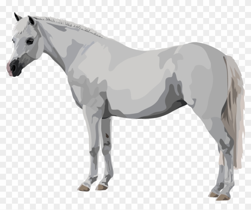 Mustang Horse Clipart
