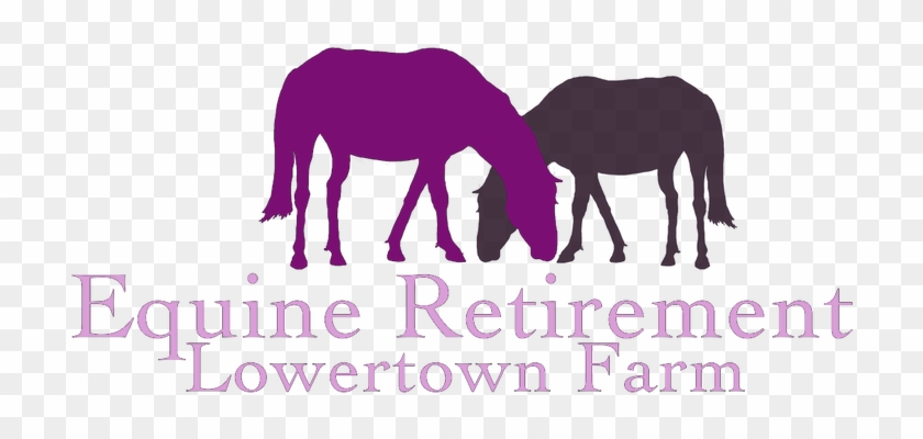 Equine Retirement Livery At Lowertown Farm - Samsung Preston S5600 Elite Clipart #6008833