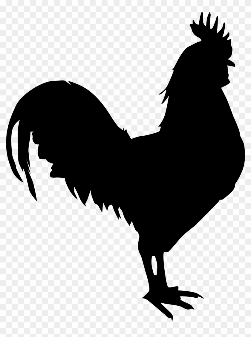 Download Download Chicken Silhouette Png Download - Gallo Png ...