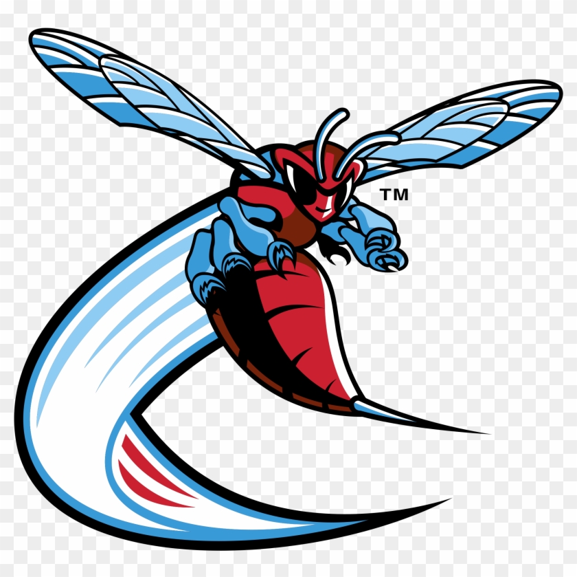 Delaware State Hornets Logo Png Transparent - Delaware State Athletics Logo Clipart #6009653