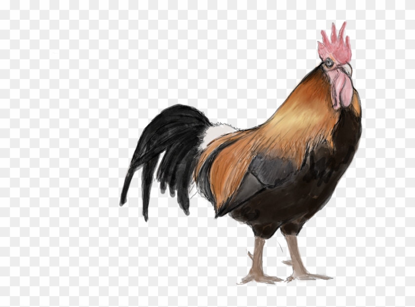 Org/wp Content/uploads/2018/10/ Rooster Watercolor1 - Rooster Clipart