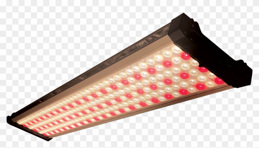 Led Grow Lights - Light Clipart #6010192