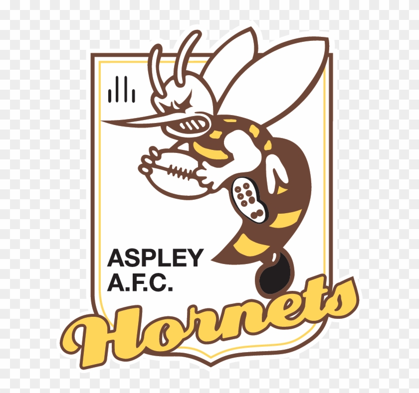 Hornets - Aspley Hornets Clipart #6010213