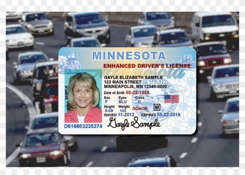 Minnesota Drivers License Clipart