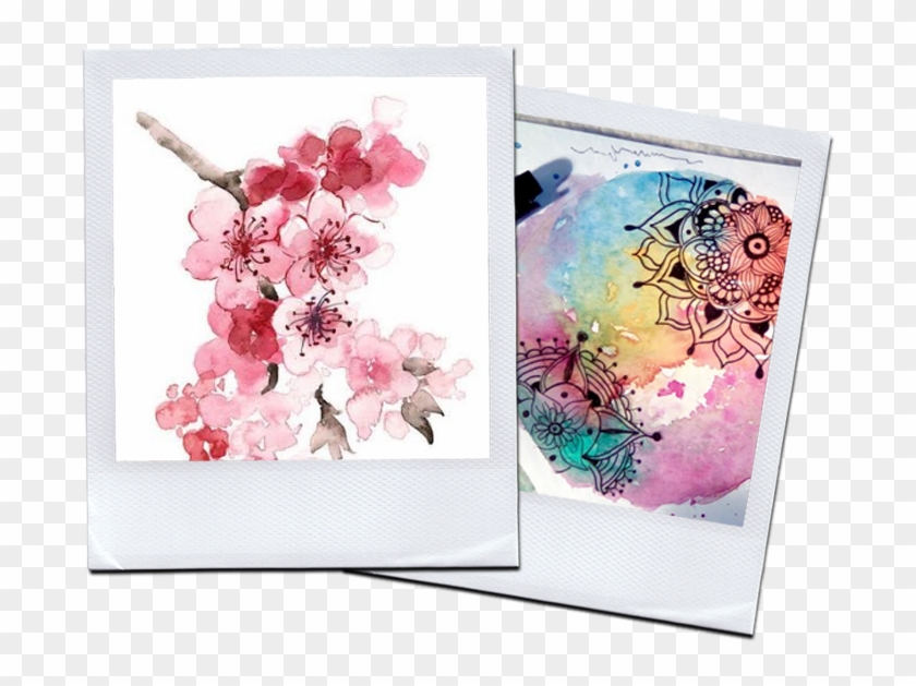 Solicitá Más Info Acá - Simple Watercolor Cherry Blossom Clipart #6013344