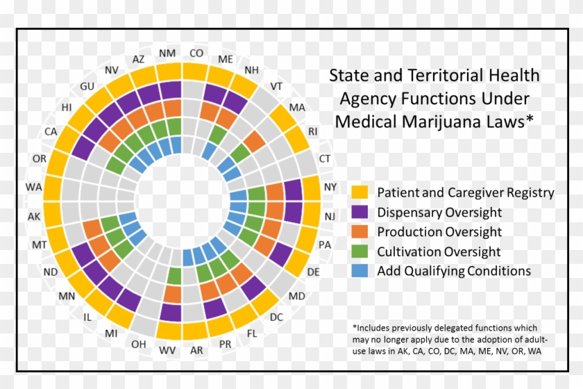 State And Territorial Health Agency Functions Under - Circle Clipart #6013500