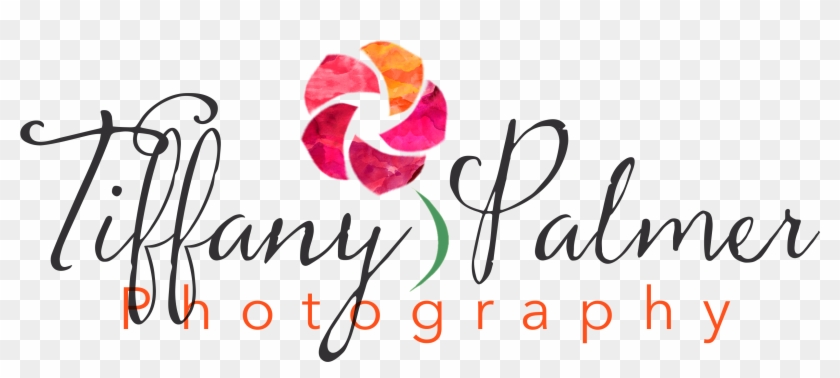 Enter For Your Chance To Win One Free 30-minute Photo Clipart #6015352