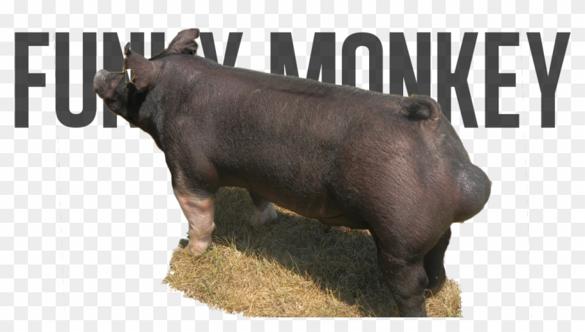 Fight The New Drug Logo Png Clipart #6015446