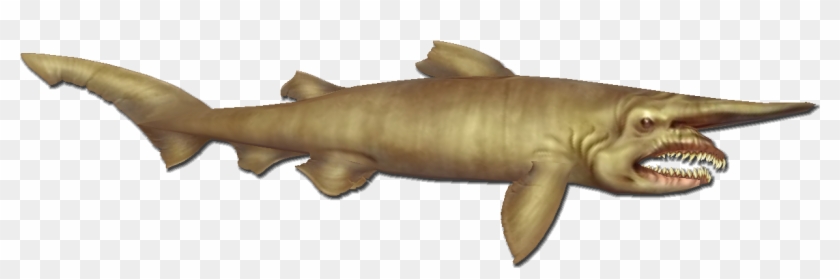 Bronze Hammerhead Shark , Png Download - Bronze Hammerhead Shark Clipart