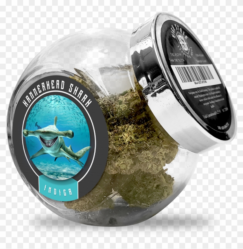 Hammerhead Shark - Shark Clipart