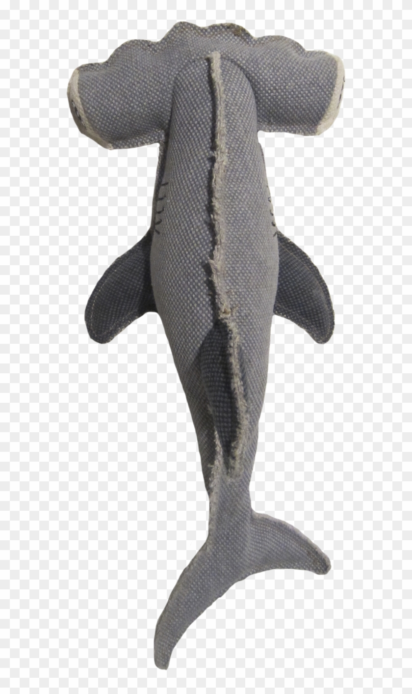 Join The Fastest Growing Pet Community For Free - Trout Clipart