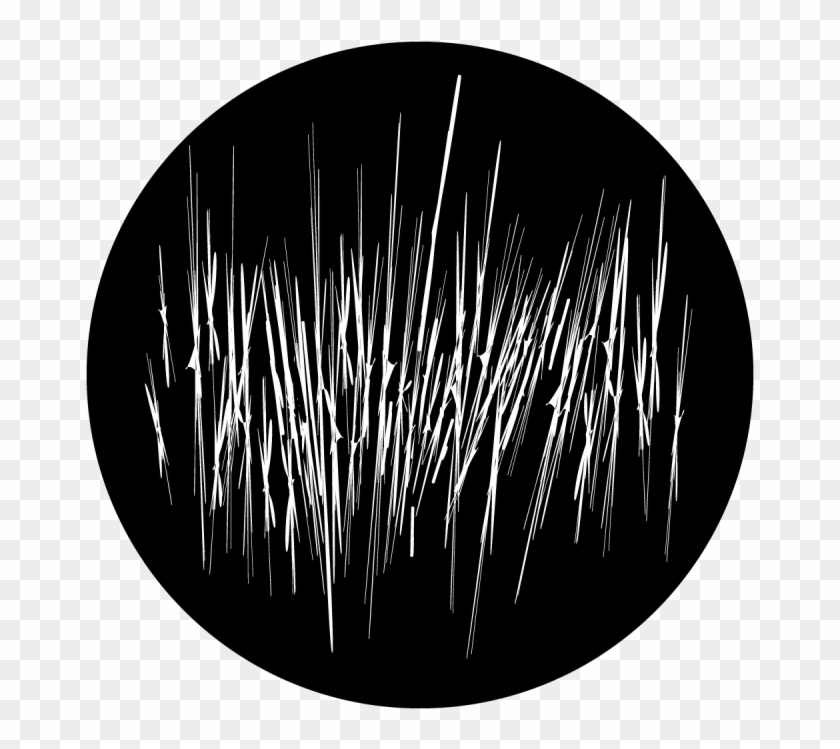 Grass Clipart #6016456