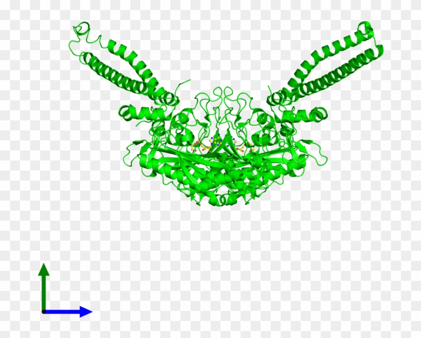 Pdb 1wle Assembly 1 Chemically Distinct Molecules Front Clipart #6017337