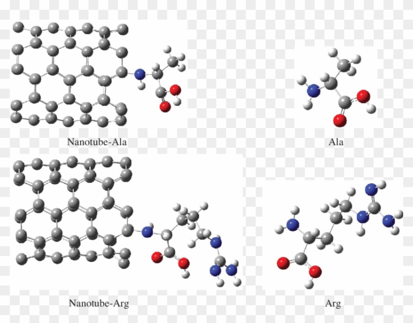 Schematic Of Molecules - Circle Clipart #6017440