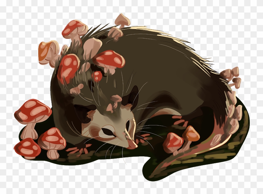 Mushroom Opossum - Illustration - Illustration Clipart