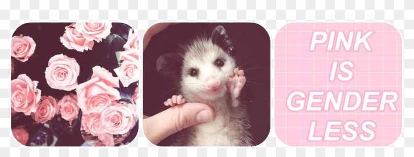 4946902 0bd0vglw9ymnt1q - Indie Background Iphone Clipart #6018435