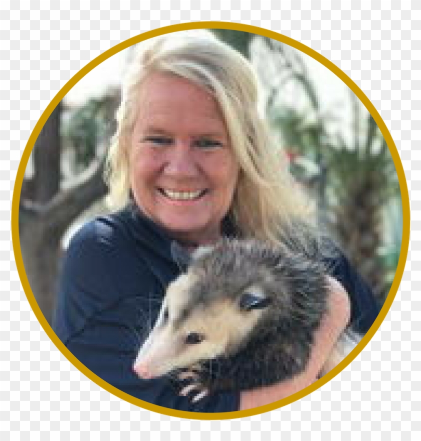 Mary Diddle - Virginia Opossum Clipart