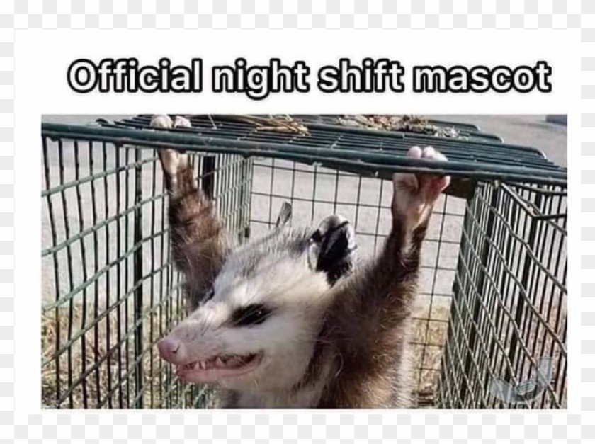 Share This - - Laughter Clipart #6019475