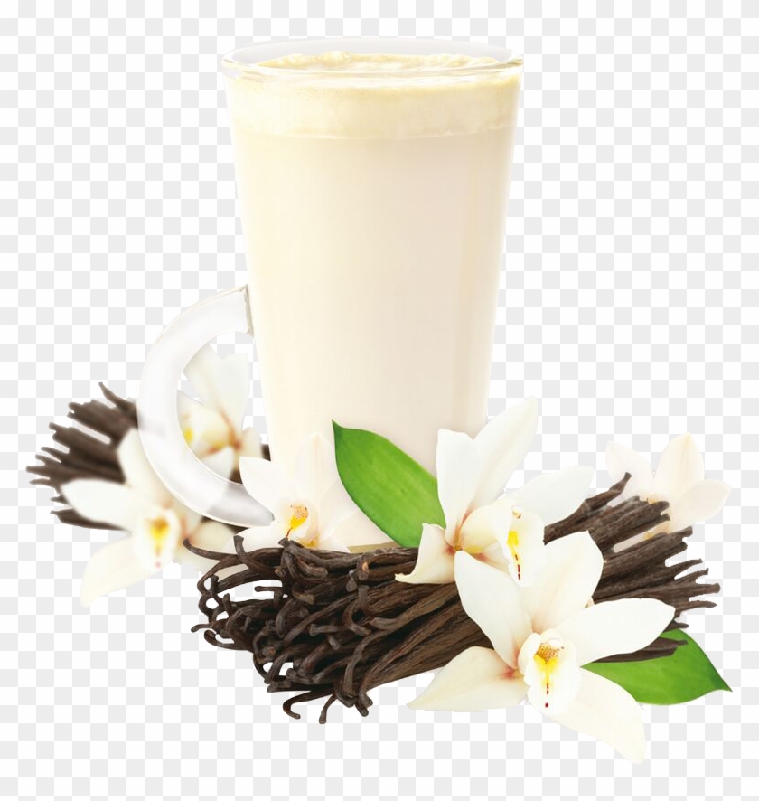 Vanilla Drink Mix - Drink Vanilla Clipart #6019593