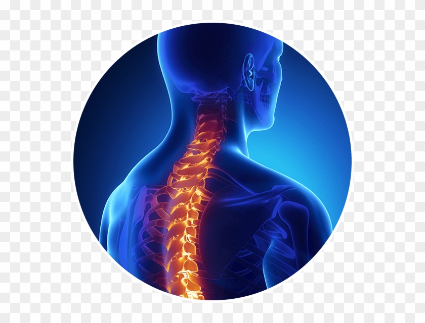 Real Patients - Spine Computer Clipart #6020205