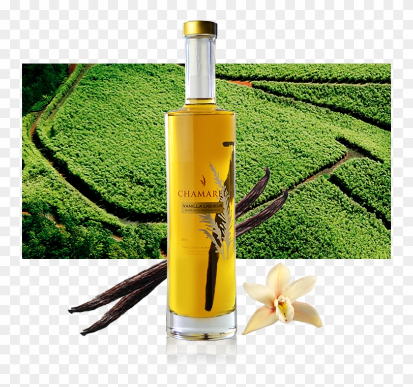 Vanilla Bottle Bg - Bottle Clipart