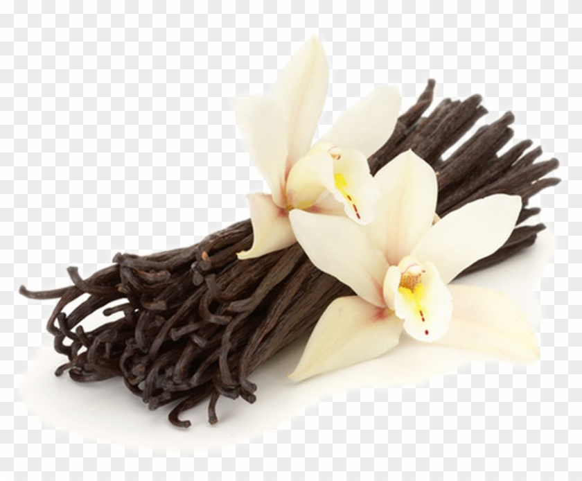 Vanilla - Vainilla En La Cocina Clipart #6020364