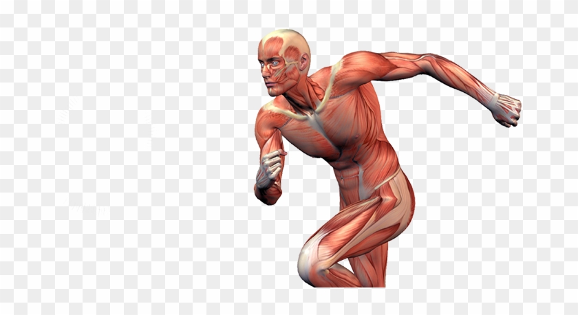 Sports Injuries - - Sport Injuries Png Clipart #6020770