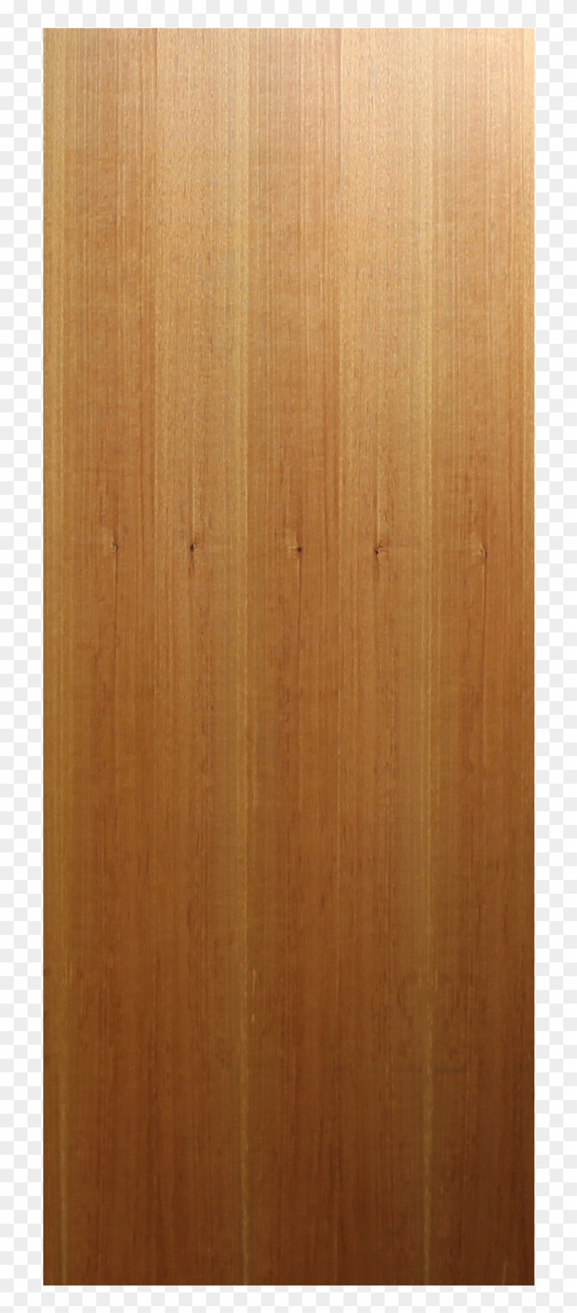 Flush - Solid Flush Panel Door Clipart #6020958