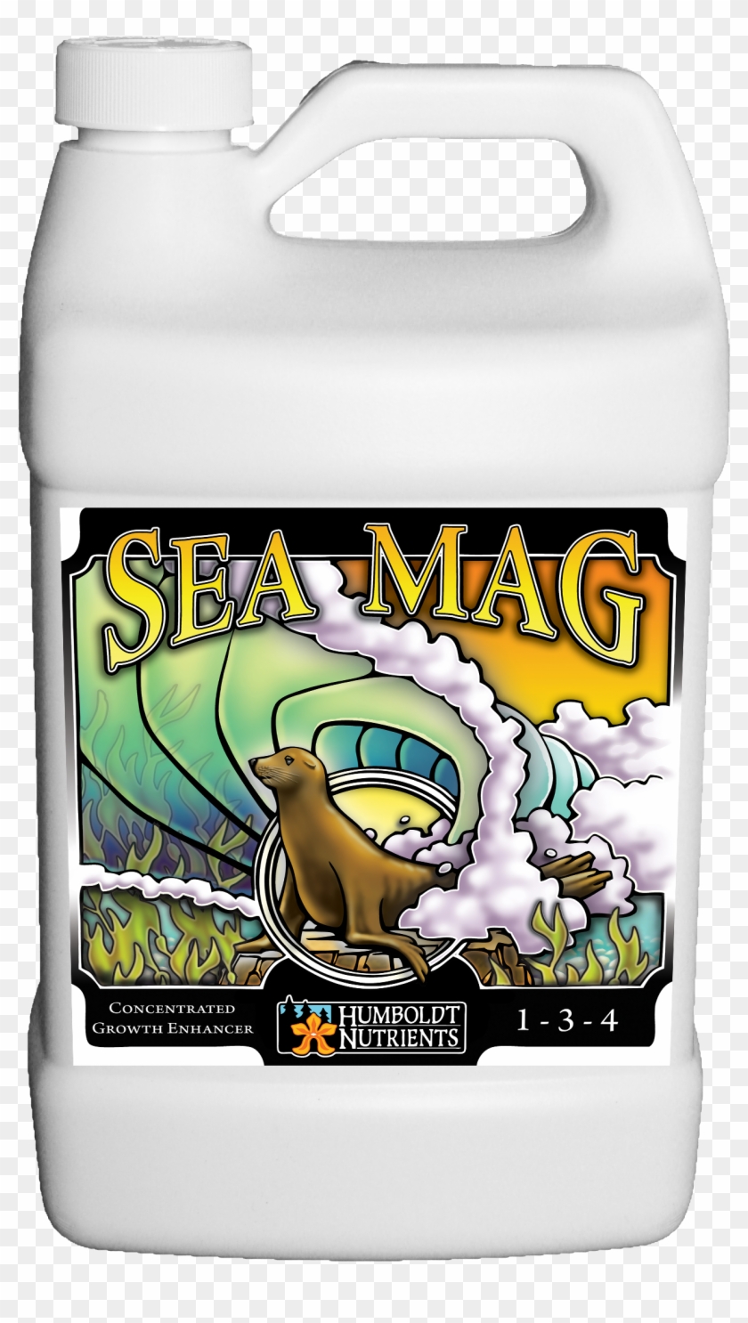 Sea Mag Gallon - Cartoon Clipart