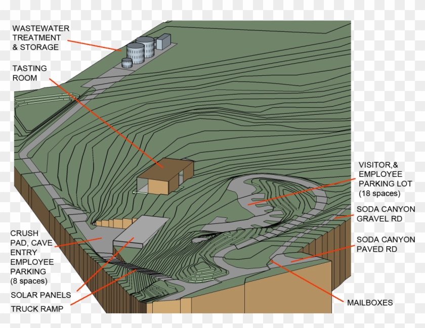 After Almost Three Years Since The Fateful Day That - Tree Clipart
