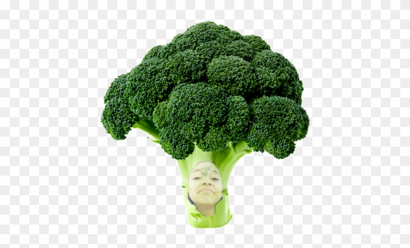 Broccoli Clipart