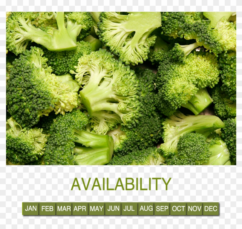 Request Information - Fractal Verdura Clipart #6024735